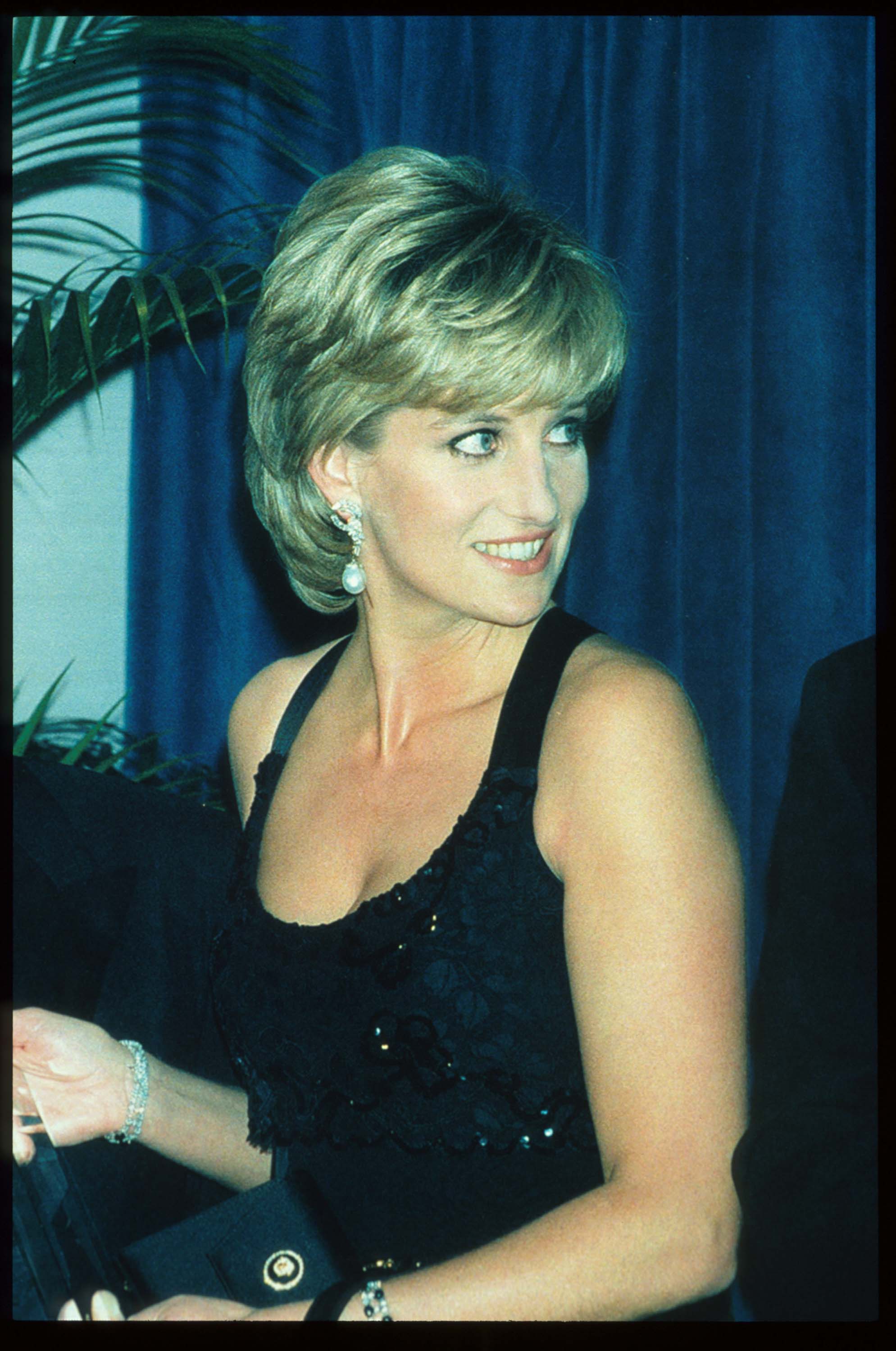 Принцесса Диана 1995 год
