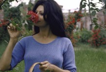 Архивные фото 30-летней Софи Лорен в ее роскошной римской вилле Софи Лорен фото