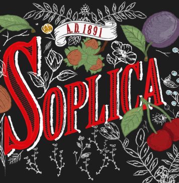 Старейший алкогольный бренд Польши: история фруктовой водки Soplica Soplica