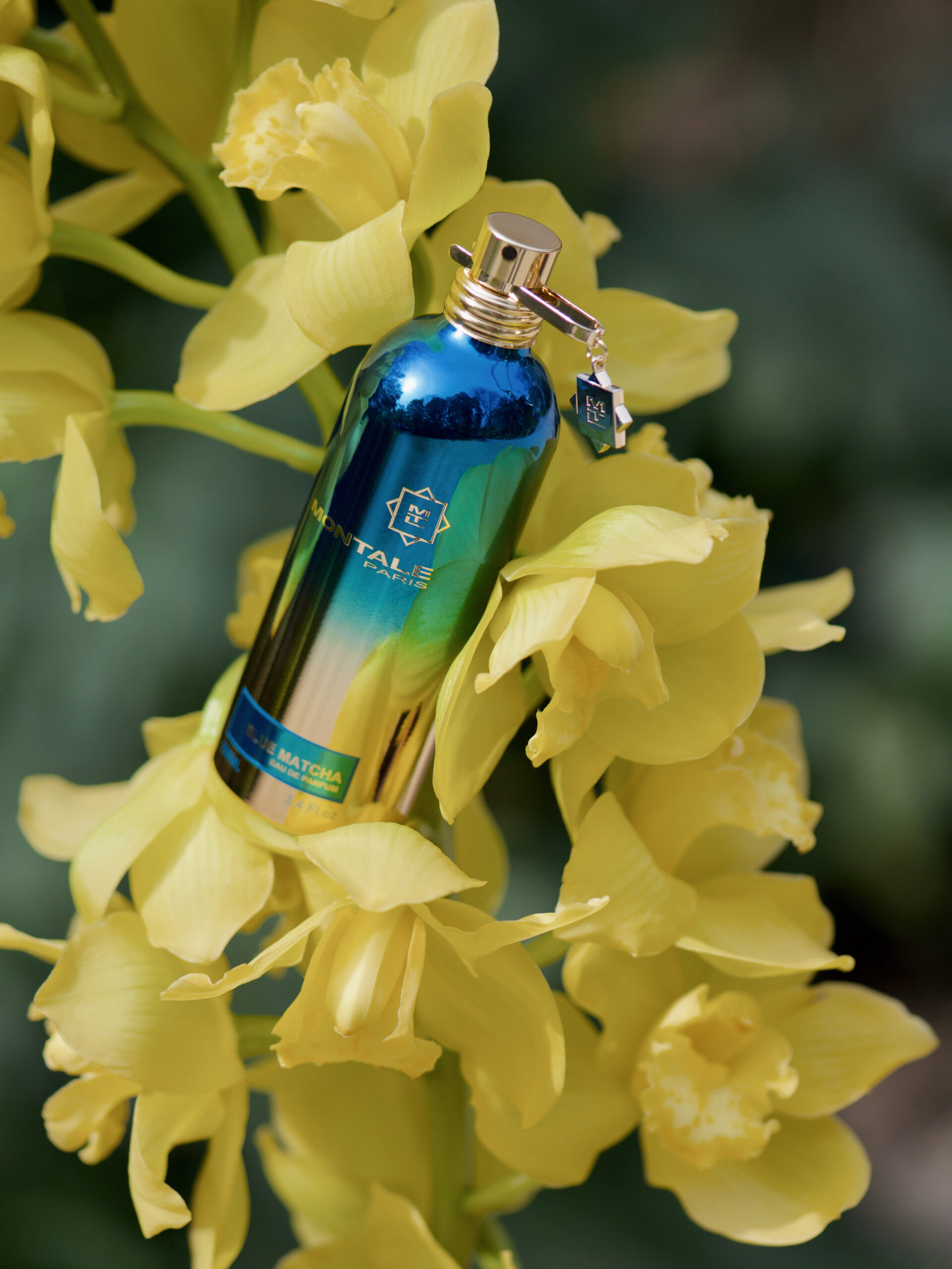 жіночі парфуми духи на літо 2023 аромат модний
