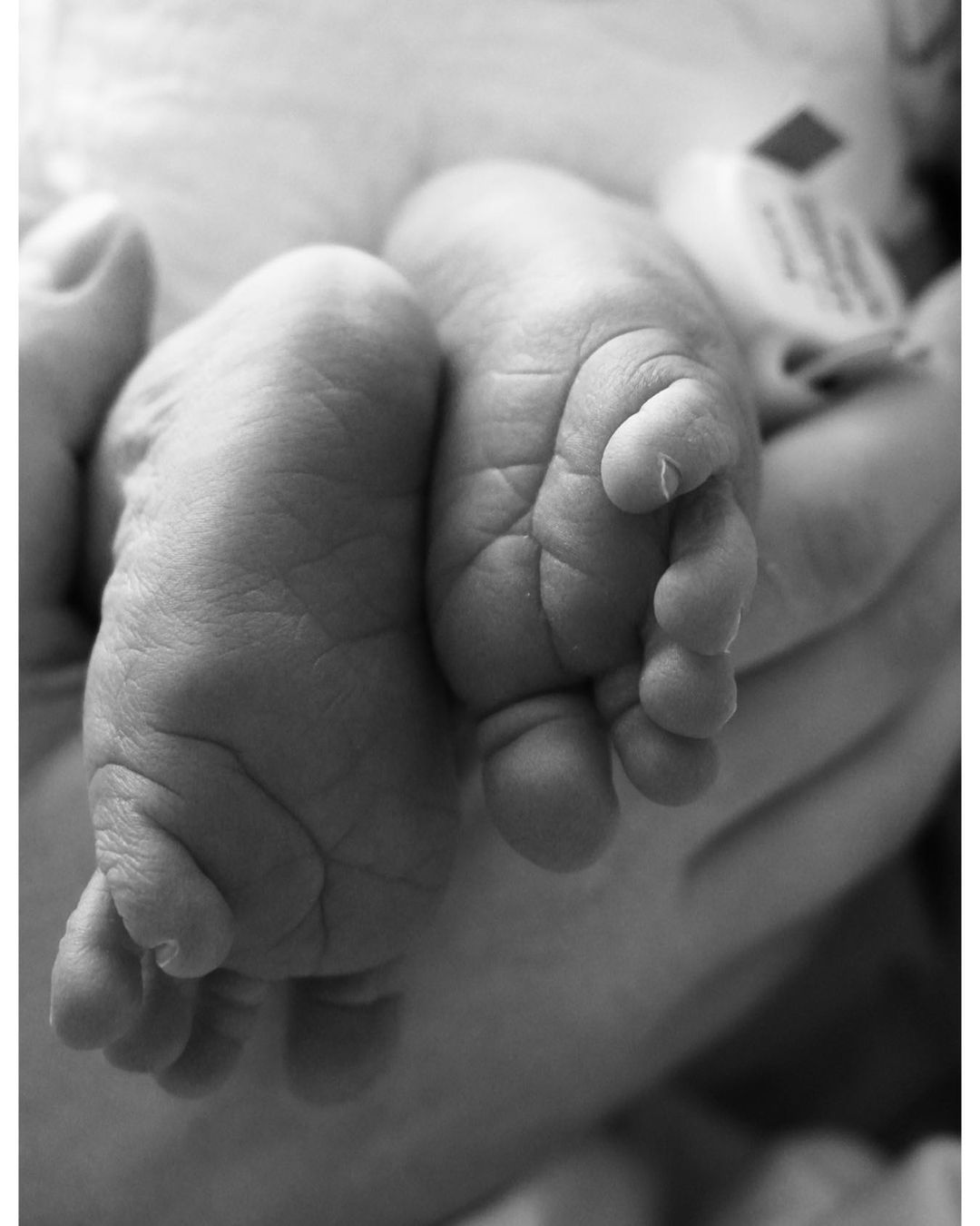 саша литвин модель по українські трушковський народила діти син